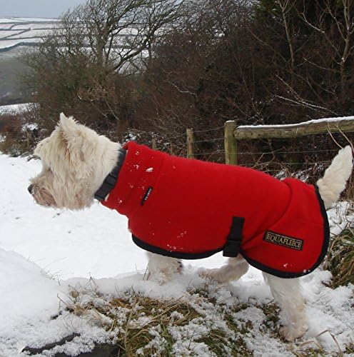 bayshore animal hospital hours