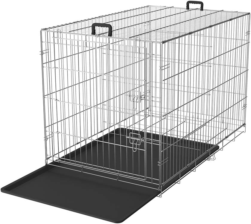 reputable cocker spaniel breeders