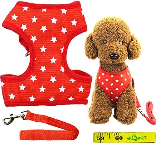 Red Dog Cat Pet Vest Harness and Matching Leash Set for SMALL Dogs Cats White Stars (A)