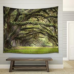 Oaks Avenue Charleston Sc Plantation Live Oak Trees Forest Landscape in Ace Basin South Carolina Lowcountry - Fabric Wall Tapestry Home Decor - 51x60 inches