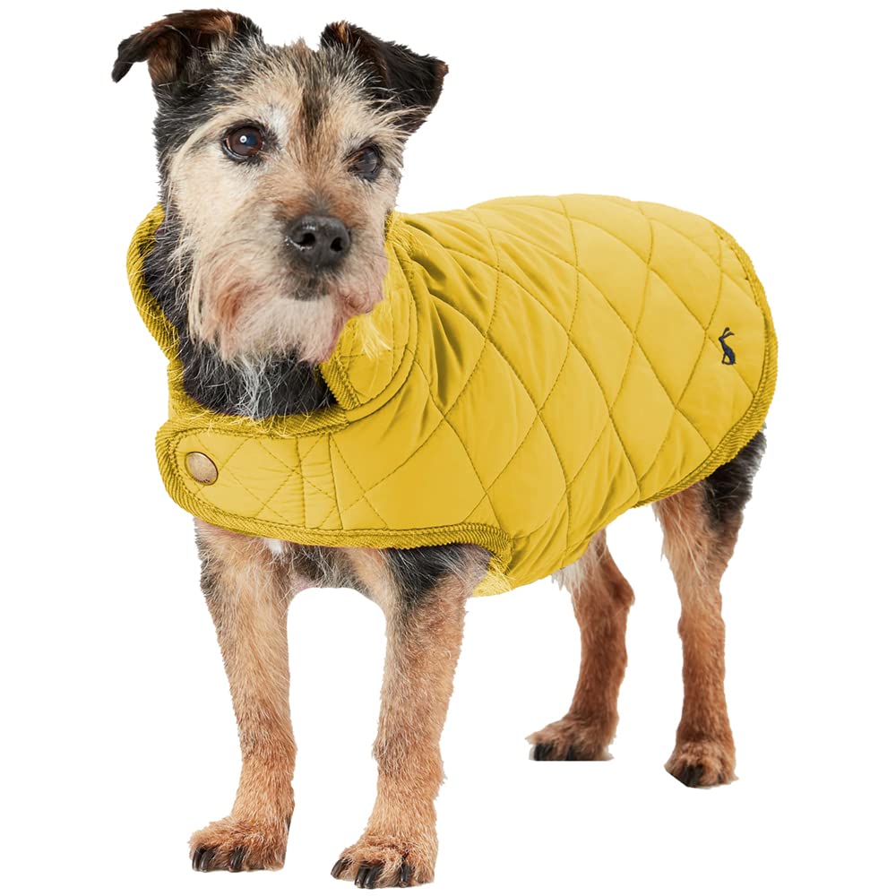 Rosewood x Joules Antique Gold Quilted Coat for Dogs, Medium, Washable, Lightweight, Warm Winter Dog Jacket for Medium Dogs