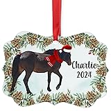Black Assateague Chincoteague Pony Christmas