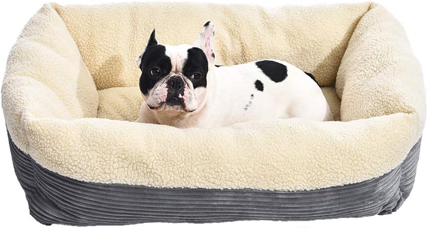 self warming dog bed