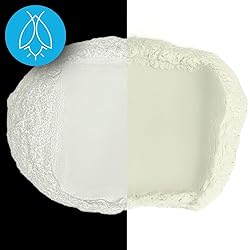 Glow in The Dark Pigment Powder - Neutral and