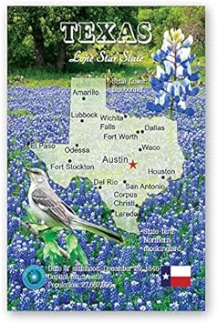 Amazon Co Jp Texas Mapポストカード枚セット 同一のポストカード テキサス州地図ポストカード アメリカ製 文房具 オフィス用品 Amazon Co Jp Texas Mapポストカード枚セット 同一のポストカード テキサス州地図ポストカード アメリカ製 文房具 オフィス用品