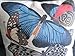 Decorbox Cotton Linen Square Decorative Throw Pillow Case Cushion Cover Butterfly 18 
