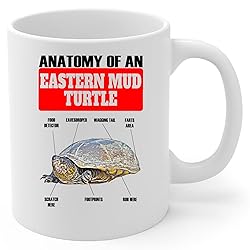 Lovesout Funny Eastern Mud Turtle Anatomy Chart