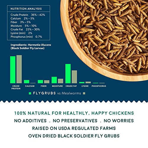 FLYGRUBS Superior to Dried Mealworms for Chickens (1lb) 85X More