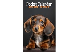 2026-2027 Dachshund Puppies Pocket Calendar For Purse: Small 2-Year Monthly Planner Size 4 x 6.5 inches, Fits Your Bag and Purse - Cute Dachshund Puppies Cover