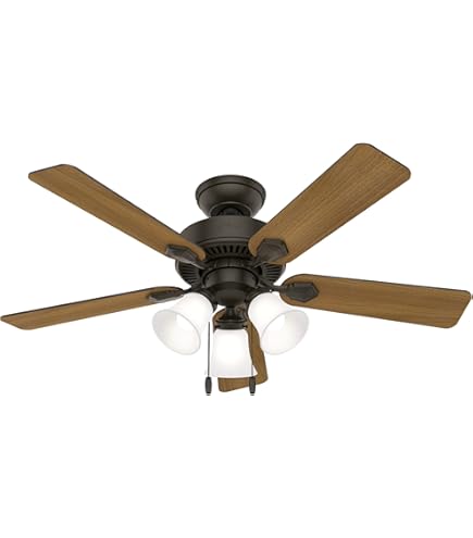Hunter 52016 Oakhurst 52 in. LED Indoor Low Profile New Bronze