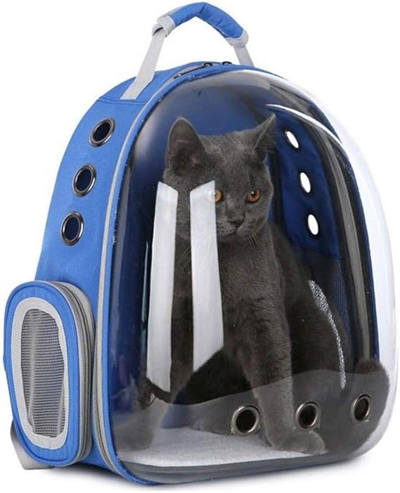 cat holding backpack