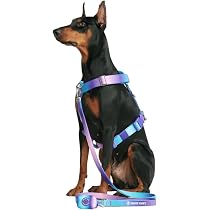 Spark Paws No-Pull Dog Harness - Designed for Safety and Control ...