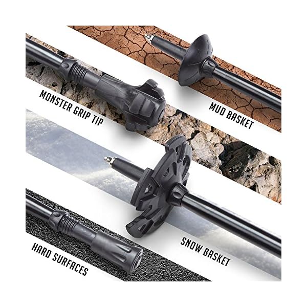 alpine summit trekking poles