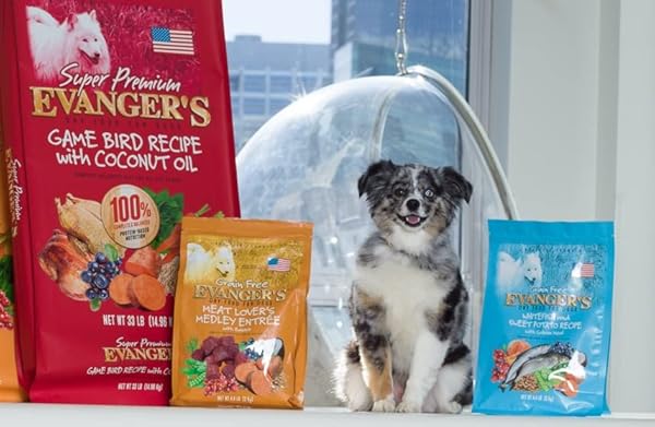 EVANGER’S SUPER GAMEBIRD RECIPE WITH COCONUT OIL DRY DOG FOOD – 4.4 LB BAG – HYPOALLERGENIC DUCK & TURKEY FORMULA – GRAIN-FREE, SUPPORTS DIGESTIVE & COAT HEALTH