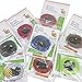 No Tie Elastic Shoelaces by Lemon Hero - Range of Reflective Colors. Our Shoe Laces Fit Shoes and Boots. Fits Adults or Kids