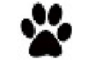 Cute Puppy Links