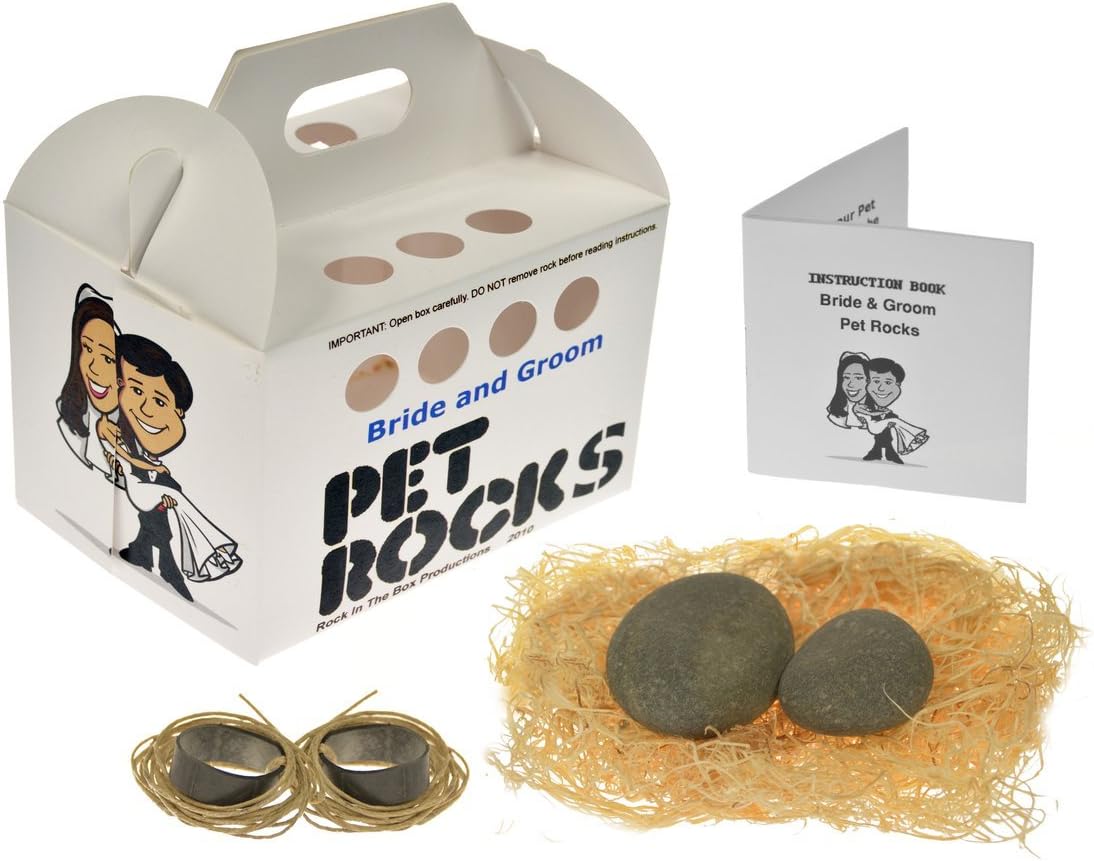 Bride and Groom Pet Rocks