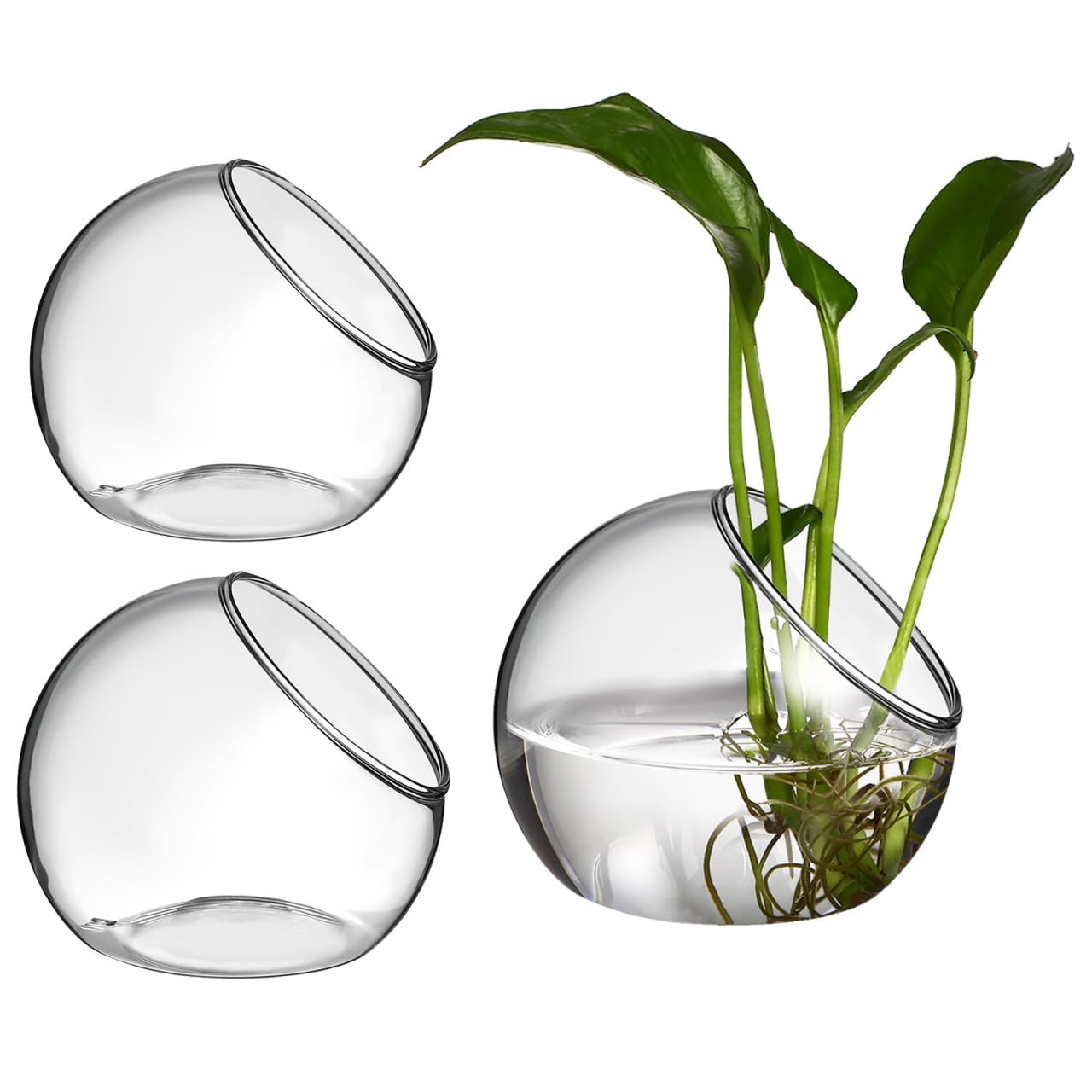 Kisangel 3pcs 4.7" Glass Terrarium for Plants & Succulents, Round Slanted Opening Plant Planter, Transparent Ornamental Glass Bowl Vase for Hydroponics, Desktop & Home Decor Centrepiece