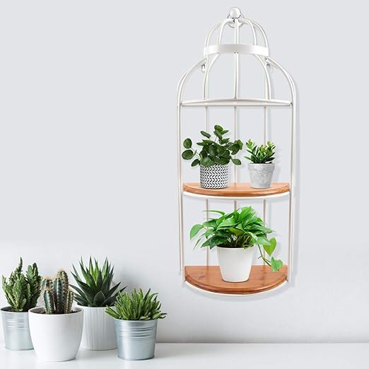 EBTOOLS Soporte de Plantas Eneldo Verde Montado en Pared, Soporte ...