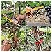 JYH Plant Tying Tool Vine Tying Machine for Grapes, Raspberries, Tomatoes and Vegetablesthumb 4
