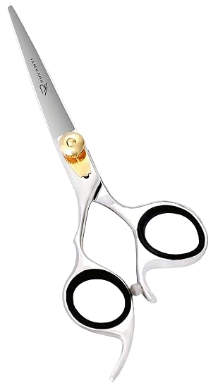 amazon professional hair scissors