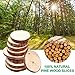 Natural Unfinished Wood Slices with Holes Bulk and Circles with Tree Bark, 30 pcs 2.4-2.8 inch Wood Template for Crafts Great for Arts and Crafts Christmas Ornaments DIY Kids Crafts