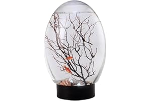 CURCKUA Mini Fish Tank, Small Desktop Aquarium with LED Light, Self Sustaining Ecosystem, No Need to Feed or Change Water Closed Aquatic Ecosystem for Home Office Ecosphere Shrimp Ecosphere