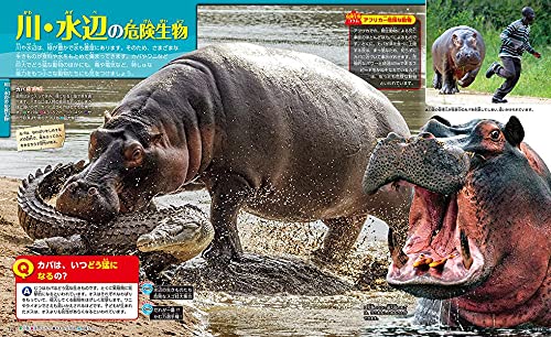 危険生物 新訂版 講談社の動く図鑑move 講談社 小宮 輝之 本 通販 Amazon