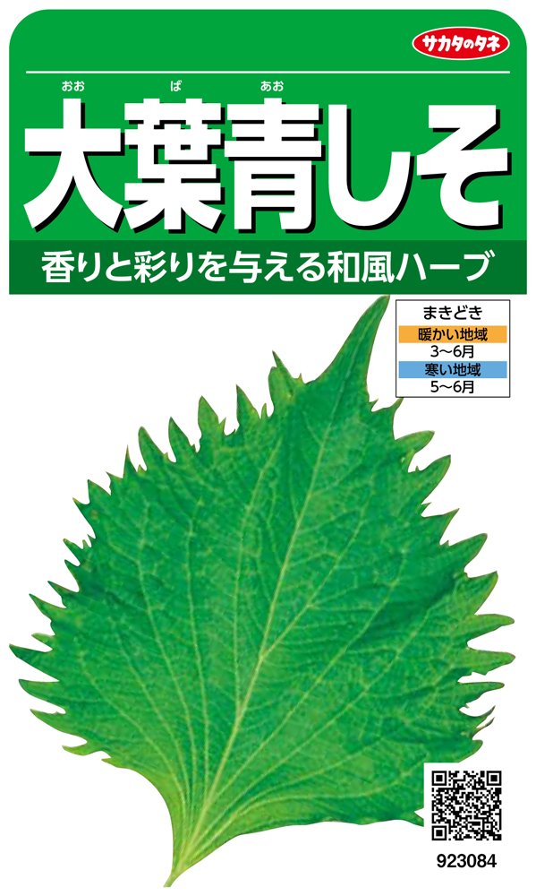 サカタのタネ 実咲野菜3084 大葉青しそ 00923084商品画像