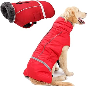 dog winter coat uk