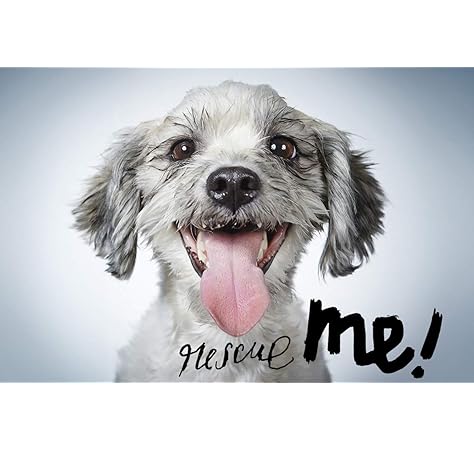 average cost of buying a dog