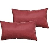 Marrywindix Tiny Pillow 2 Pack Small Decorative Pillow 9.5 x 5.5 in Travel Pillows Soft Pet Pillow for Camping Travel Sleeping Bed Sofa Neck Knee Wrist Support (Red)