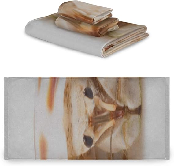 CHQTG Juego Suave de 3 Toallas Juego de Toallas de baño de Cangrejo