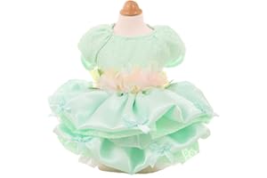 MaruPet Elegant Princess Lace Flower Fairym Dress Silky Tutu with Bowknot for Small, Extra Small Dog Teddy, Pug, Chihuahua, Shih Tzu, Yorkshire Terriers Green L