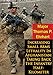 Increasing Small Arms Lethality In Afghanistan: Taking Back The Infantry Half-Kilometer by Major Thomas P. Ehrhart