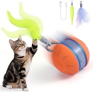 Are Plastic Cat Toy Ball'S Ok for Rats: Safe or Risky Choice?