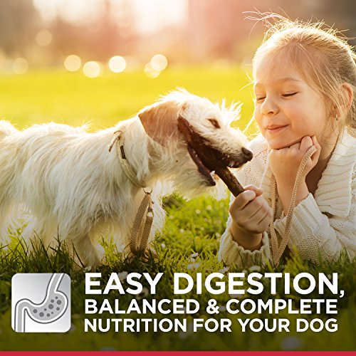 Купить Hill's Science Diet Sensitive Stomach & Skin Dog Food в интернет
