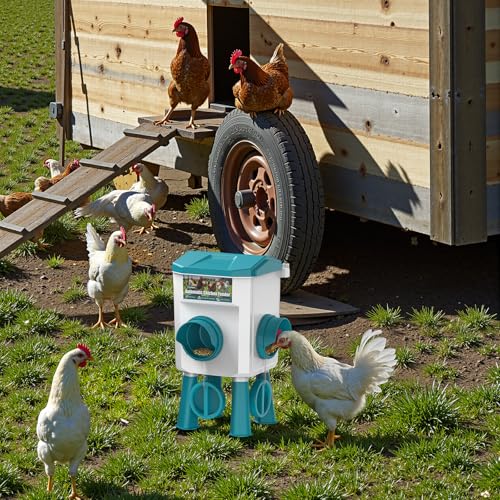 CHAMUTY 7 kg Automatic Chicken Feeder with No Waste 2 Ports, Chicken Seed Dispenser, Automatic Chicken Feeder for Chickens, Ducks, Geese, Birds