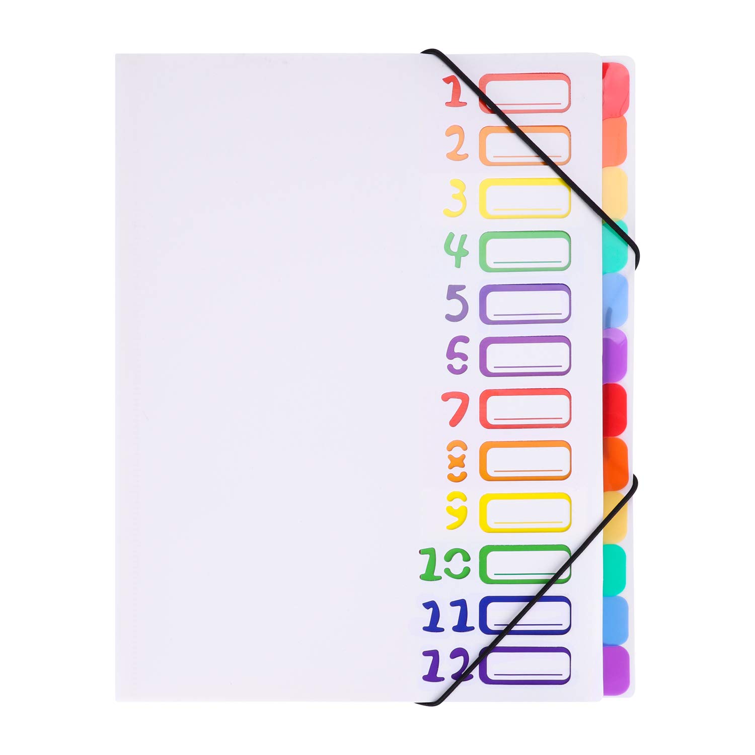 A4 Waterproof Expanding File Folder 12 Pockets Accordion File Organiser Project Folder Plastic Document Paperwork Holder Rainbow Color Music File Folder with Colored Labels for School Office Art