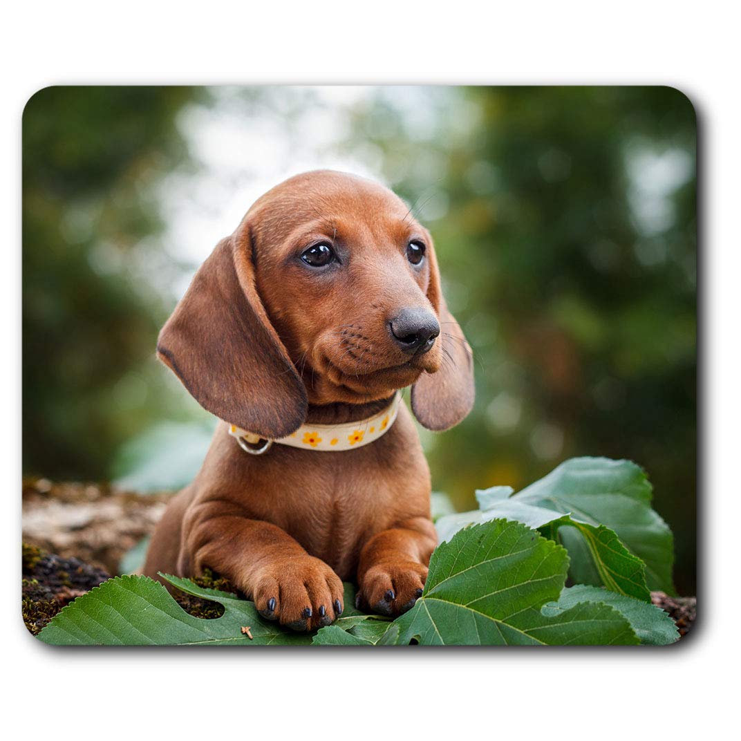 Brown Dachshund Sausage Dog Puppy Mouse Mat Pad Computer PC Laptop Gaming Office Home Desk Accessory Gadget 16292