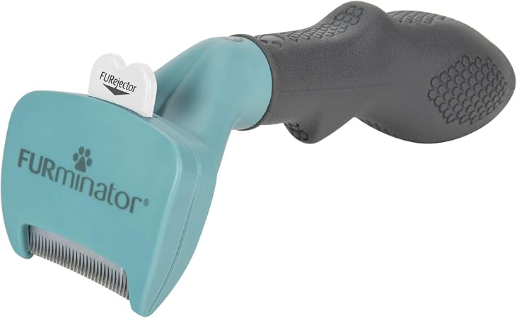 british shorthair furminator