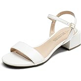 DREAM PAIRS Women's Low Heels for Women Classic Open Toe Ankle Strap Block Chunky Heel Sandals Holiday Party Wedding Dress Pumps Shoes