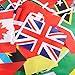 SATINIOR 200 Country Flags 164 ft International String Flags Bunting Banner World Flag Pennant Banner for Sports Game Events Grand Openings