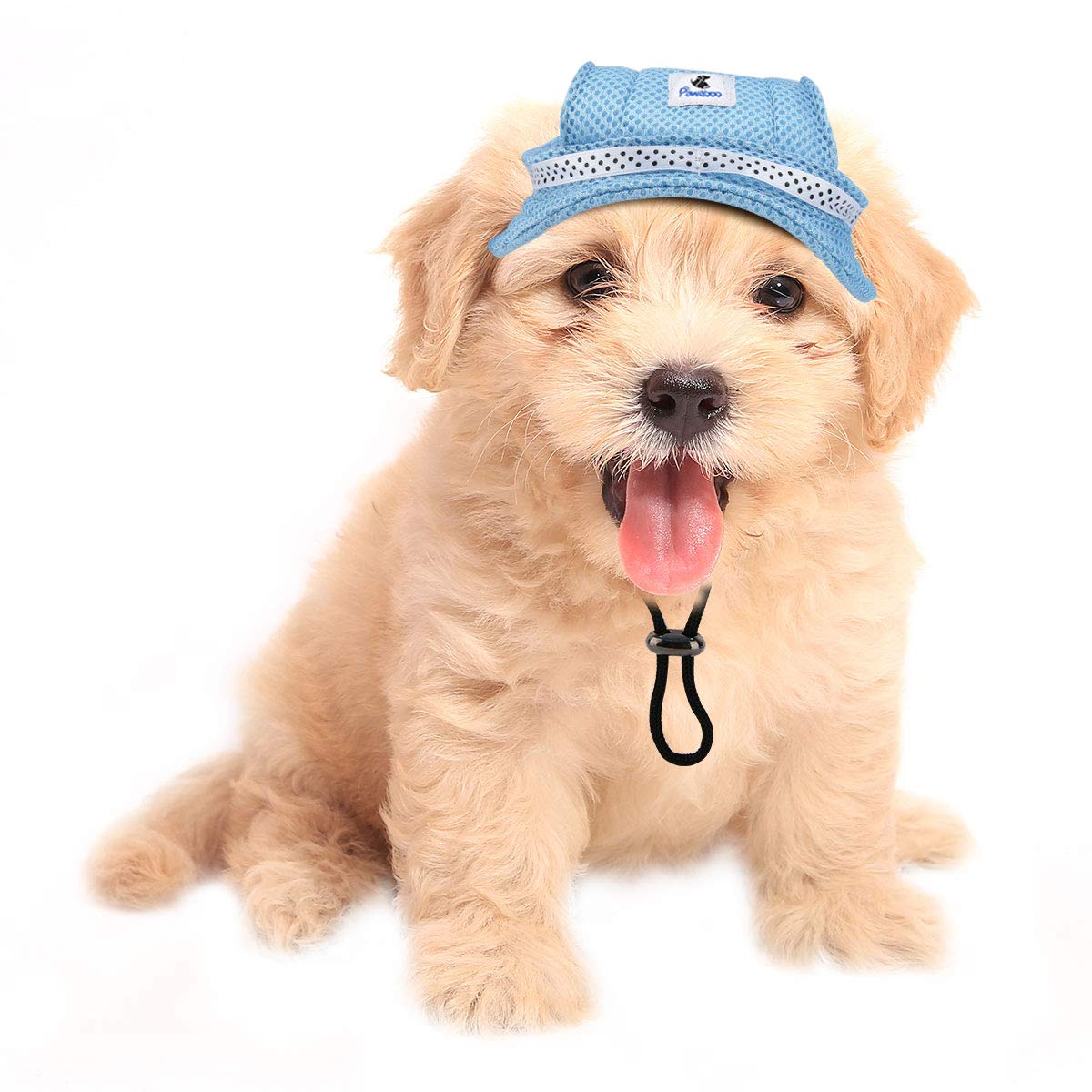 dog visor hat