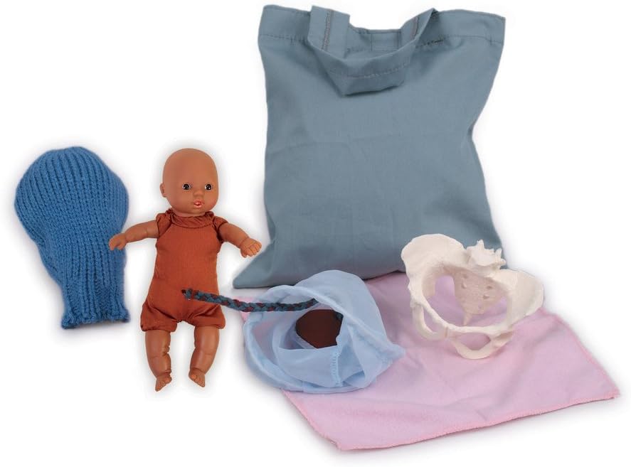 Mini Model Set: Pocket Uterus, Baby, and Pelvis (6 Pieces)