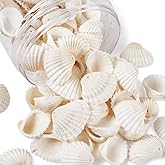 Pandahall 117Pcs/Box Natural Clam Shell Charm Pendants Beach Ocean White Seashell Beads with Hole for Bracelet Necklace Jewelry Making Vase Filler Fish Tank Decor