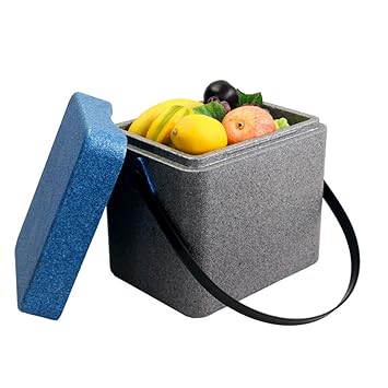 GJ Refrigerador-enfriador para automóvil Caja 11L Refrigerador ...