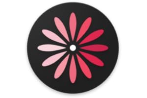 WomanLog Calendar