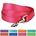 Blueberry Pet Essentials French Pink Dog Leash for Small -5' * 5/8