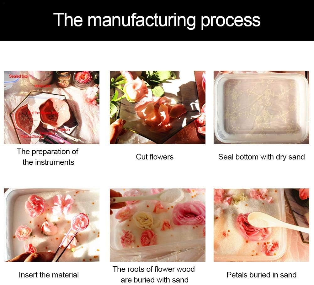 Silica Gel Desiccant Moistureproof Flowers Drying Sand Homemade Rose Dried Flowers Diy Three Dimensional Dried Flowers Eternal Flower Dry Sand Desiccantdesiccant Silica Gel Sachet Moisture Damp Amazon Co Uk Kitchen Home